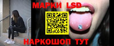 стафф Донецк