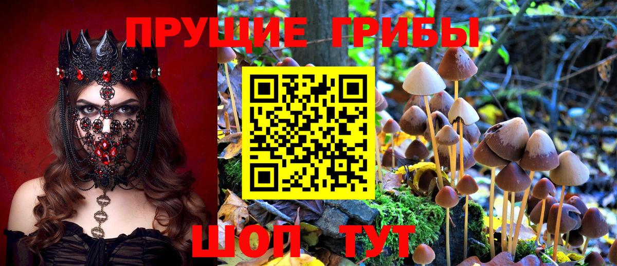 Псилоцибиновые грибы MAGIC MUSHROOMS  Вход с VPN  Мариинск 